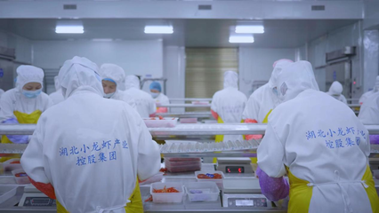 全國首個小龍蝦加工基地揭牌 全鏈賦能‘蝦’經濟，助力鄉村振興與技術推廣